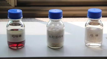 厲害了 磁縣這兩家企業(yè)在首屆中國(guó)國(guó)際進(jìn)口博覽會(huì)上率先簽約成功