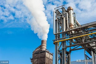 兩個極端 pa的兩種化工產(chǎn)品原料,依賴進口 產(chǎn)能過剩