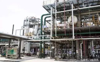 e鹽資訊 江蘇已關(guān)停多家化工企業(yè),然鵝只是開始