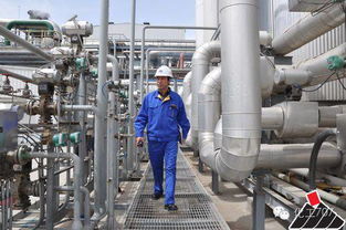 選專業(yè)的日子到了 你當(dāng)時(shí)咋就選了化工