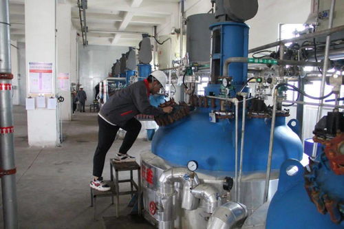 杠杠地 重點項目領跑 高質量發展加速