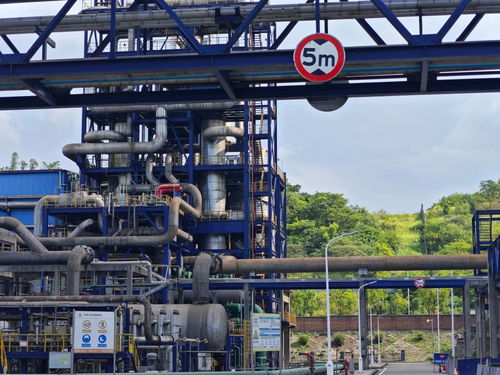 活力中國調研行 重慶 山水 煥新 產業(yè) 增綠