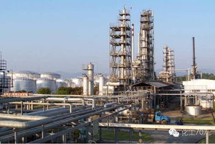 致化工學弟學妹 在知識中沉淀，在創新中前行